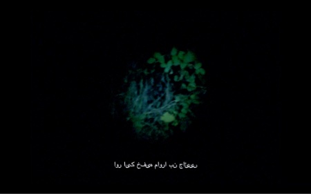 Black screen with a circular light falling onto green foliage. There is Urdu text at the bottom as a subtitle.