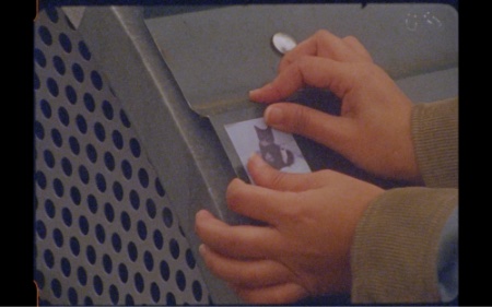 Two hands are placing a small square sticker of a black and white kitten onto the corner of a bike shed. The cover of the bike shed is a forest green. The side of the bike shed is a grey metal with uniform holes covering it. The hands belong to someone wearing a denim jacket.